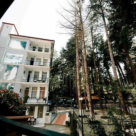 Hulus Hotel Makhindzsauri Kültér fotó