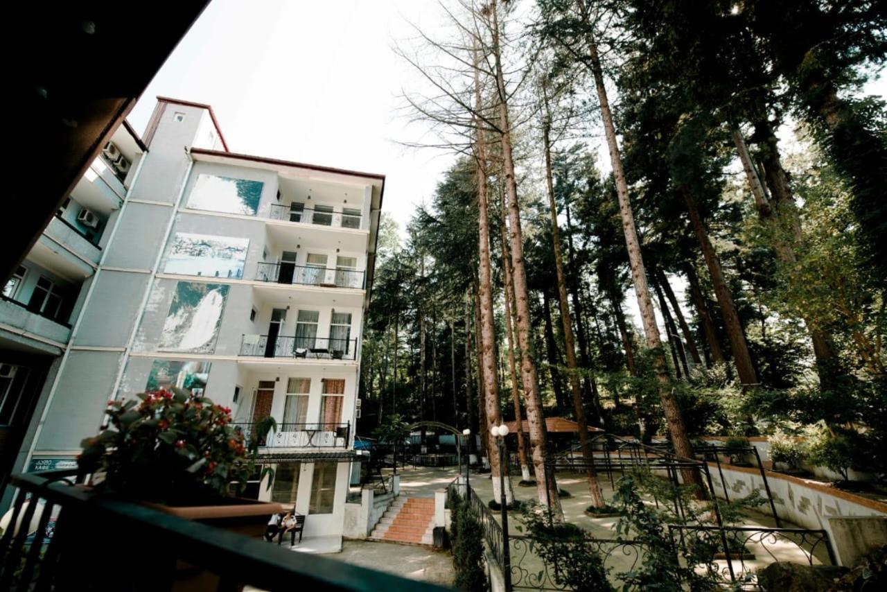 Hulus Hotel Makhindzsauri Kültér fotó